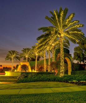 Images Dated 22nd December 2010: North America, United States, Southeast, East, Florida, Xmas, Christmas, lighting