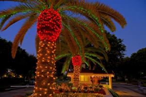 Images Dated 21st December 2010: North America, United States, Southeast, East, Florida, Xmas, Christmas, lighting