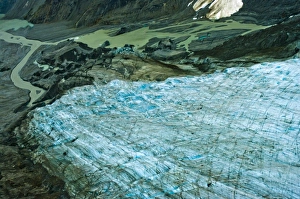 Images Dated 9th August 2010: North America, United States, US, Northwest, Pacific Northwest, West, Alaska, Glacier Bay