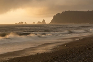 Images Dated 7th August 2014: North America, United States, Washington, Olympic National Park, Ruby Beach
