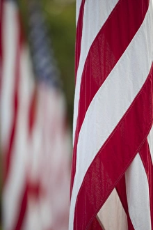 North America, United States, Washington, Bellevue, American flags