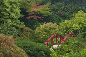 Images Dated 10th October 2010: North America, United States, Washington, Renton, red bridge in Kubota Japanese Garden