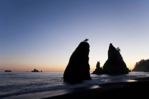 Images Dated 8th July 2010: North America, United States, Washington, Olympic National Park, Pacific Ocean