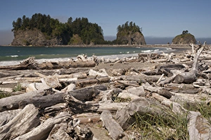 Images Dated 8th July 2010: North America, United States, Washington, La Push, driftwood on First Beach with