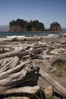 North America, United States, Washington, La Push, driftwood on First Beach with