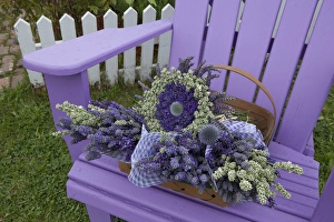 North America, United States, Washington, Sequim, bouquets of dried lavenderon purple