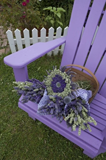 Images Dated 23rd July 2012: North America, United States, Washington, Sequim, bouquets of dried lavenderon purple