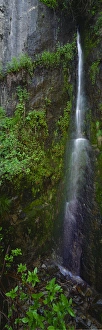 Rock Face Prints: North America, United States, West, California, Sequoia National Park, Rare waterfall