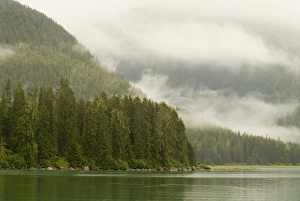 Images Dated 25th July 2006: North America, USA, AK, Inside Passage