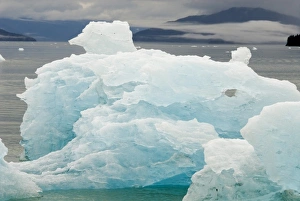 Images Dated 25th July 2006: North America, USA, AK, Inside Passage. Sculptural forms in floating glacial iceberg