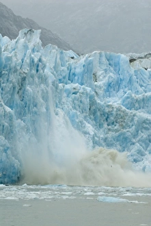 North America, USA, AK, Inside Passage, Endicott Arm, Dawes Glacier calving