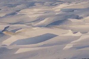 North America, USA, Alaska, 1002 Coastal Plain of the Arctic National Wildlife Refuge