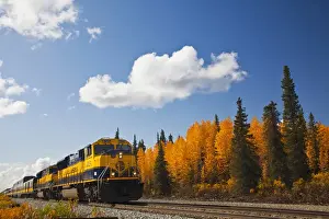 Images Dated 7th September 2009: North America, USA, Alaska, Alaska Train in Autumn Color along the Parks Hyw