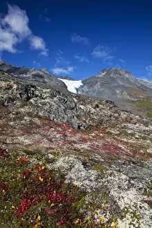Images Dated 10th September 2010: North America; USA; Alaska; Autumn Color along the Glennallen Highway