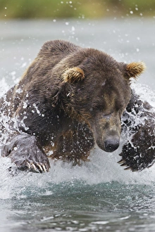 Images Dated 12th December 2011: North America, USA, Alaska, Geographic Harbor