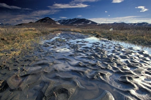 Images Dated 11th February 2005: North America, USA, Alaska, Jago RVR region, Arctic National Wildlife Refuge