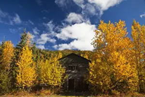 Wide Angle Prints: North America; USA; Alaska; Kantishna; Old Kantishna RoadHouse with Autumn Color