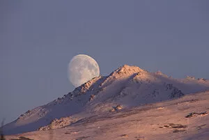Images Dated 2nd December 2004: North America, USA, Alaska, near Anchorage, Chugach range, moon rise