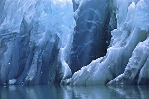 North America, USA, Alaska, Tracy Arm. Closeup of a blue iceberg