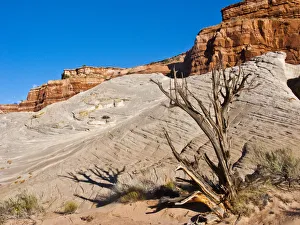 Prints of North America, USA, Arizona, Big Water, Grand Staircase Escalante National Monument, Vermillion Cliffs Wilderness, White Cliffs, Whitehouse Trailhead Images Dated 2018 June: North America, USA, Arizona, Big Water, Grand Staircase Escalante National Monument
