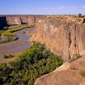 South Rim Prints: North America, USA, Arizona, Canyon de Chelly N. M. from the South Rm