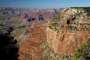 Images Dated 12th October 2006: North America, USA, Arizona, Grand Canyon National Park, North Rim. Cape Royal Overlook