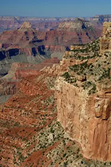 Images Dated 12th October 2006: North America, USA, Arizona, Grand Canyon National Park, North Rim. Cape Royal Overlook