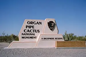 Images Dated 7th May 2008: North America, USA, Arizona. Organ Pipe Cactus National Monument
