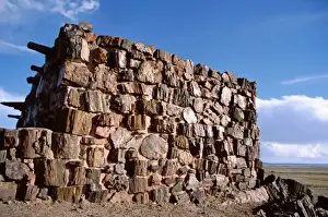 Images Dated 7th May 2008: North America, USA, Arizona, Petrified Forest National Park. Agate House - restored