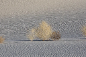 Images Dated 12th March 2015: North America, USA, California, Death Valley National Park