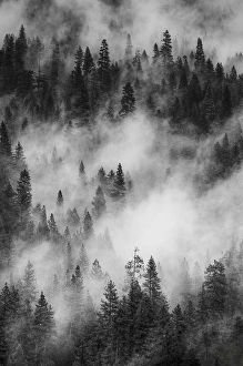 Images Dated 9th May 2013: North America, USA, California, Yosemite National Park