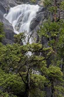 Images Dated 8th May 2013: North America, USA, California, Yosemite National Park. Spring run-off at Cascade Falls