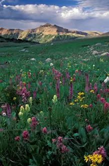 Images Dated 20th April 2006: North America, USA, Colorado, American Lakes Wilderness. Landscape