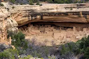 Pueblo Prints: North America, USA, Colorado. Cliff dwellings in Mesa Verde