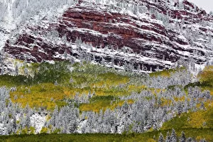 Images Dated 23rd September 2006: North America, USA, Colorado, First Snow over the Red Cliffs and Aspens of Redstone