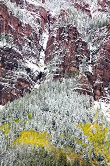 Images Dated 23rd September 2006: North America, USA, Colorado, First Snow over the Red Cliffs and Aspens of Redstone