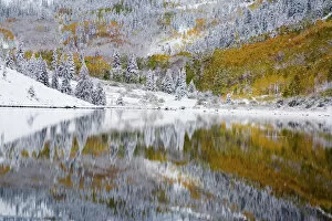 Images Dated 23rd September 2006: North America, USA, Colorado, Maroon Bells, Snow Covered Aspens and Firs With Reflections