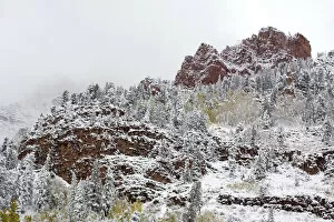 Images Dated 23rd September 2006: North America, USA, Colorado, Maroon Bells, Snow Covered Aspens and Firs