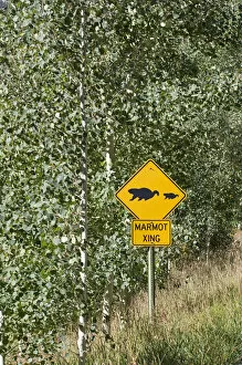 Images Dated 21st September 2007: North America - USA - Colorado - Rocky Mountains - Sign on road to Maroon Bells near