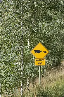 North America - USA - Colorado - Rocky Mountains - Sign on road to Maroon Bells near