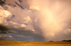 Images Dated 2nd August 2006: North America, USA, Colorado, San Juan Mountains. Storm over the San Juan Flats