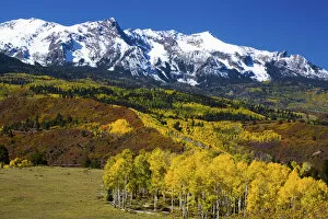 Images Dated 28th September 2006: North America, USA, Colorado, Sneffells Range with Autumn Aspens and Snow capped Mountains