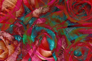 Teal Prints: North America, USA, Digitally Altered