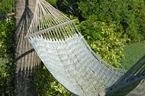 Images Dated 26th March 2006: North America, USA, Florida, Edgewater, hammock in backyard
