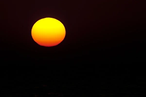 Images Dated 10th March 2007: North America, USA, Florida, Sarasota, Crescent Beach, Siesta Key, Orange Ball of