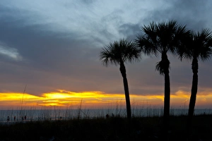 Images Dated 14th March 2009: North America, USA, Florida, Sarasota, Sunset on the Crescent Beach, Siesta Key