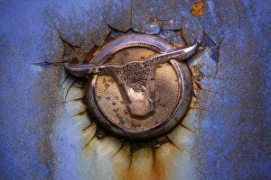 Images Dated 10th March 2012: North America, USA, Georgia; Hood ornament on old rusted car at Old Car City