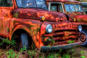 Retro Prints: North America, USA, Georgia; Rusty trucks at Old Car City
