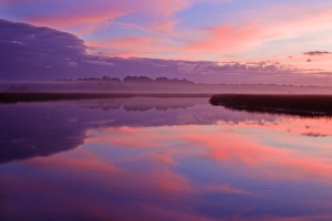 Images Dated 1st January 2011: North America, USA, Georgia, Savannah. Clouds reflecting onto a creek at sunrise