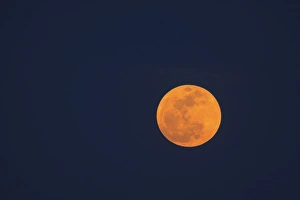 Images Dated 5th May 2012: North America, USA, Georgia; Savannah; Moon rise of the super moon
